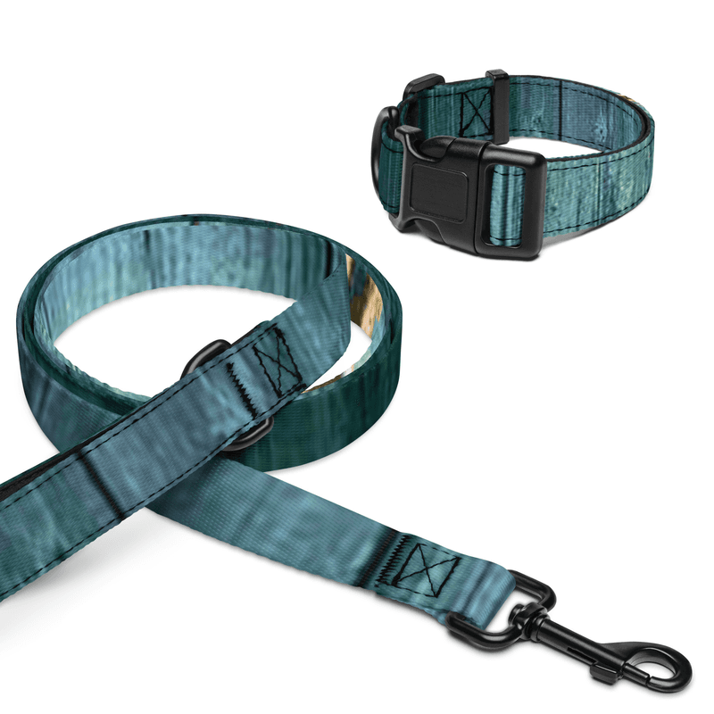 Pet collar & leash